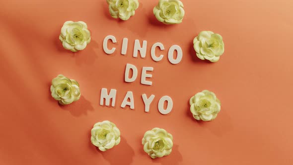 Cinco De Mayo Background for the Party alt