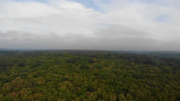 Dense and Humid Amazon Forest. The Clouds Are in the Trees. View From Above