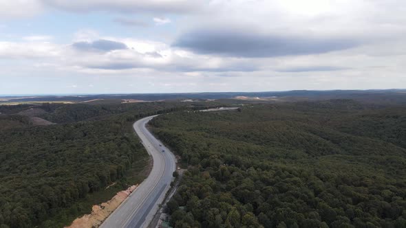 Drone Shot Forest Road alt