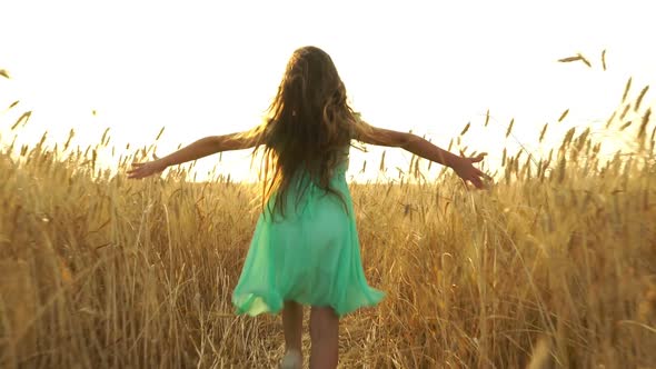 Young Girl In The Dress Is Running Across The Field, Stock Footage