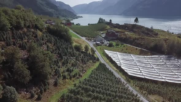 Drone shot of the countryside of Norway near a fjord with a farming area of Christmas trees. alt