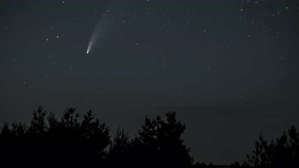 The Comet Moves Across the Night Sky Among the Stars alt