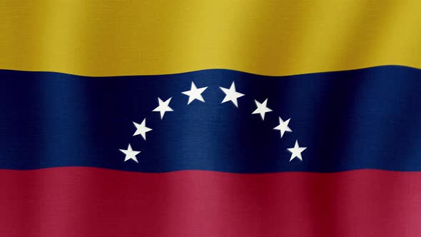 The national flag of Venezuela