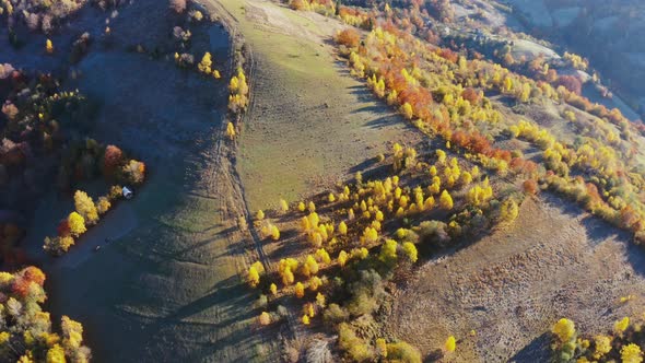 High Mountain Peaks with Yellowed Forest Under Bright Sun alt