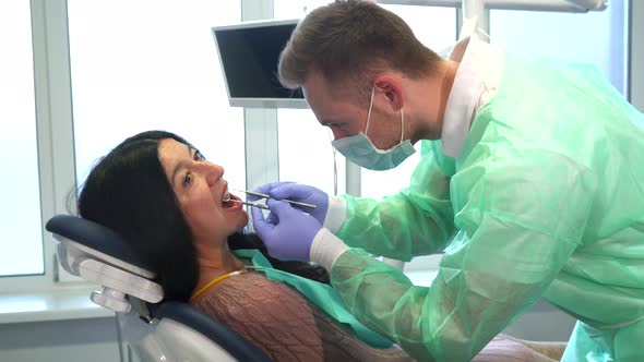 Dentist Examines Patient's Teeth