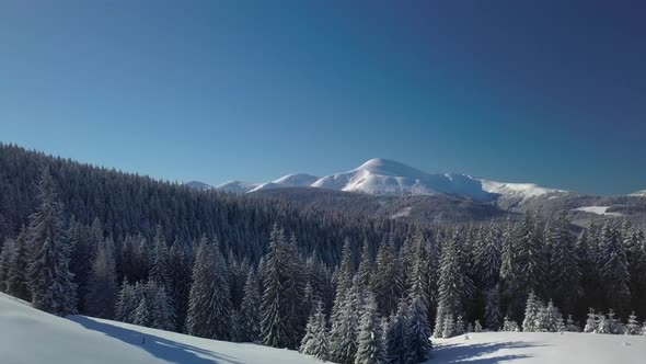 Flying Over the Forest and Mountains in Winter alt
