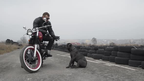 Portrait of Brutal Biker on Motocycle Plays with Bulldog alt