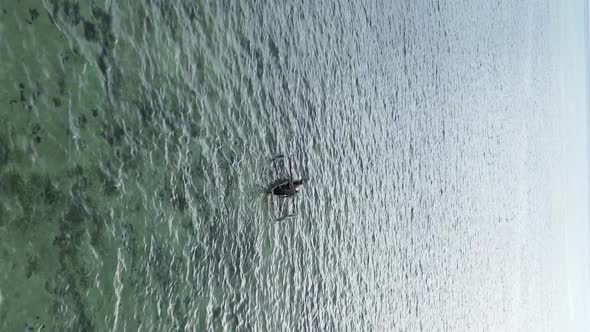 Tanzania Vertical Video  Boat Boats in the Ocean Near the Coast of Zanzibar Aerial View alt