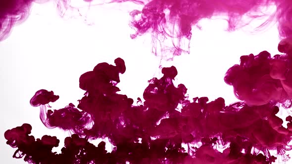 Cloud of Fuchsia Color Ink