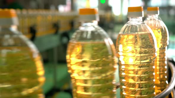Sunflower Oil in the Bottle Moving on Production Line alt