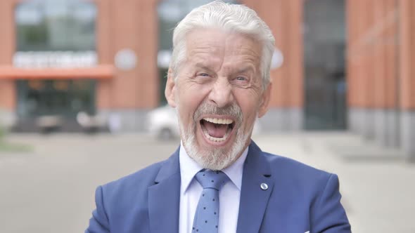 Outdoor Portrait of Old Businessman Celebrating Success alt