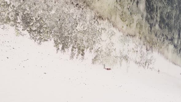 Zanzibar Tanzania  Vertical Video of Low Tide in the Ocean Near the Coast Slow Motion alt