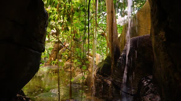 VideoHive Natural 20402504 VideoHive Natural 20402504
