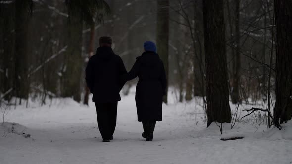 Old Married Couple Is Walking in Park at Winterrear View of Figures of Elderly People Going Hand in alt