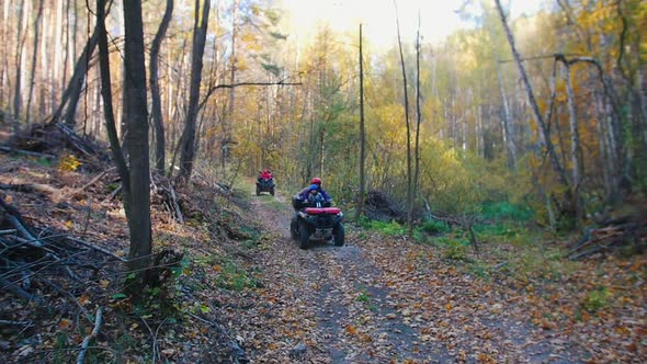 People Riding ATVs in the Forest on the Track - Autumn Season alt