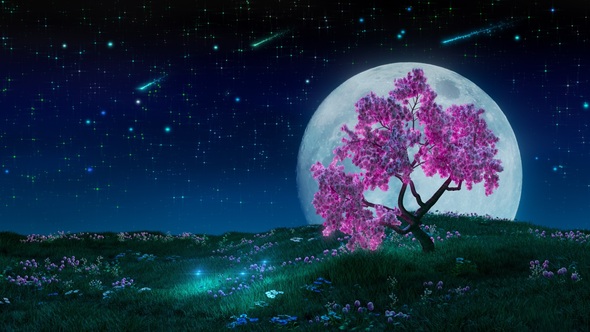 Sakura And The Moon, Motion Graphics | VideoHive