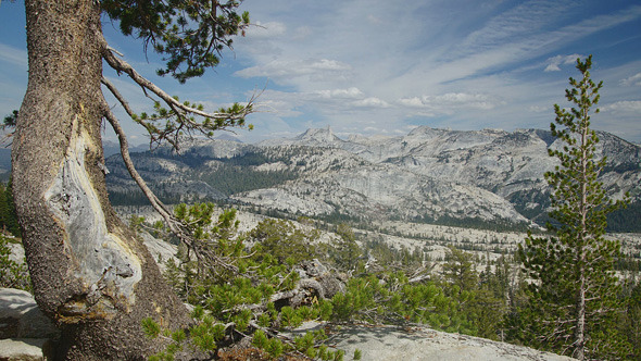 Panoramic View Of Sierra-Nevada, Yosemite