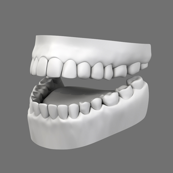 Teeth - 3Docean 34297990