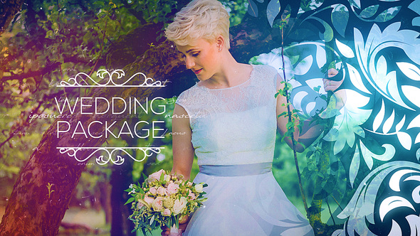 Wedding Package Video Displays template preview