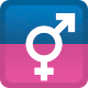 Gender Symbols Background - VideoHive Item for Sale
