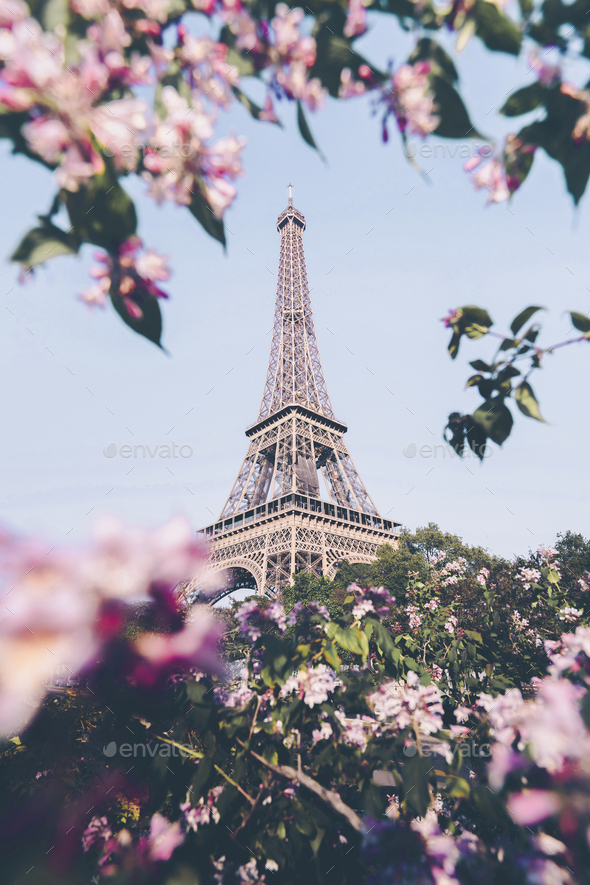 Eiffel Tower background wallpaper, white tone filter Stock Photo by Rawpixel
