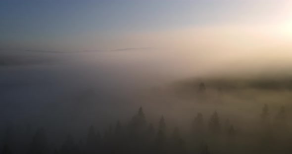 Flight Over The Mountains Covered With Thick Fog. Dawn In The Carpathians
