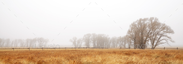 Foggy autumn rural landscape. - Stock Photo - Images