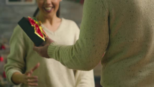 Romantic Young Man Surprising His Girlfriend on Christmas Day alt