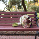 Wedding bouquet of roses and chrysanthemums sitting on an outdoor bench. - PhotoDune Item for Sale