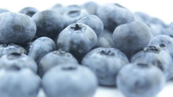  Fresh organic blueberries lie on a plate. Rotation of fresh juicy blueberry close-up.