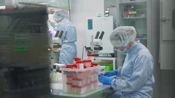 Women Work in the Lab