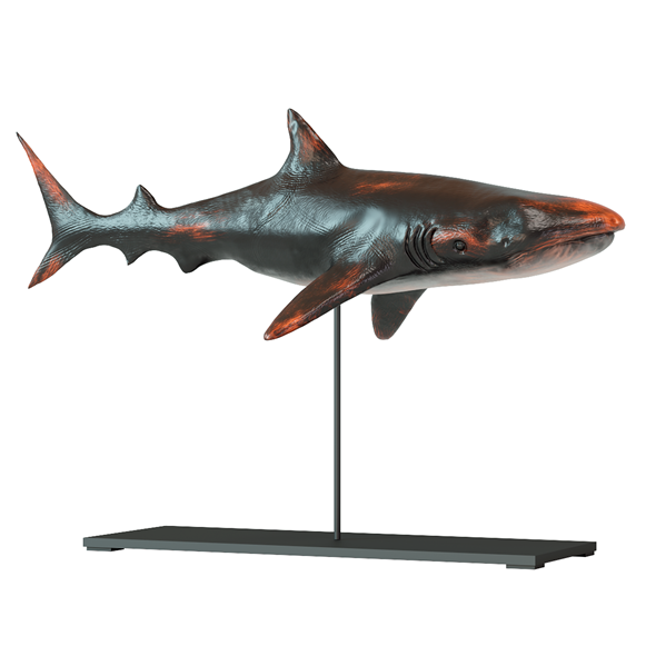 Deco Figurine Shark - 3Docean 34391660