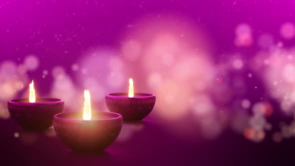 Diwali Festival of Light Cerebration 03