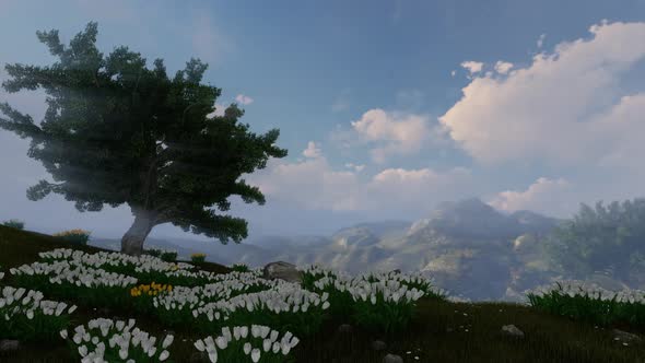 Nature 4k Loopable alt