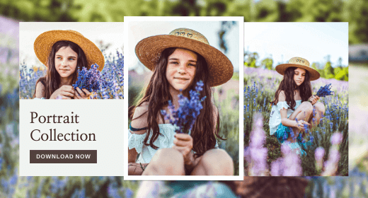 Portrait Presets Collection