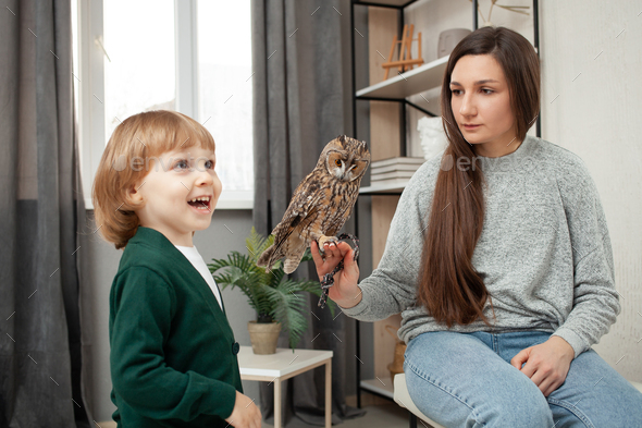 Mom and son keep an owl, exotic pet, indoor. The nocturnal predator sits on the arm, care, poultry