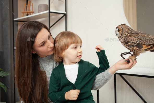 Mom and son keep an owl, exotic pet, indoor. The nocturnal predator sits on the arm, care, poultry
