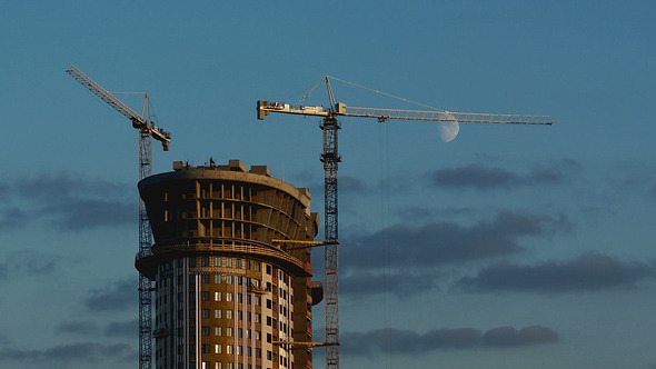 Cranes At Work