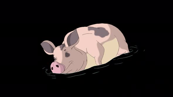 Pink pig sleeping in a puddle alpha mate 4K