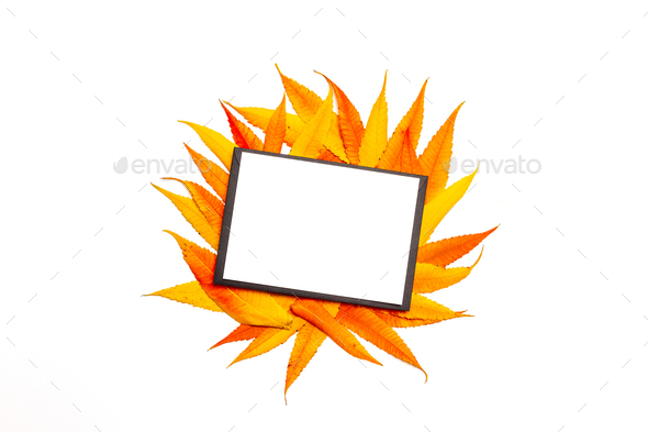 Top view of mockup blank letter or postcard in black envelope on a on autumn yellow and red leaves