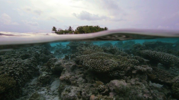 Semi-Underwater Video Of Tropical Island