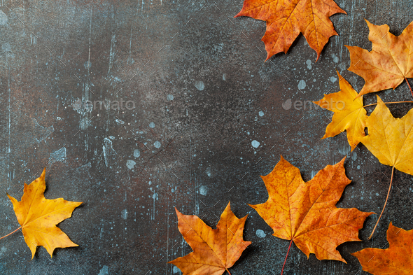 Autumn background with fall maple leaves on rusted metallic surface - Stock Photo - Images