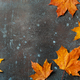 Autumn background with fall maple leaves on rusted metallic surface - PhotoDune Item for Sale