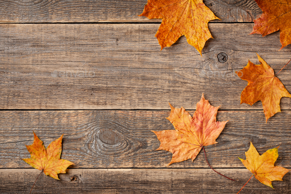 Autumn background with fall maple leaves on wooden background - Stock Photo - Images
