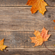 Autumn background with fall maple leaves on wooden background - PhotoDune Item for Sale