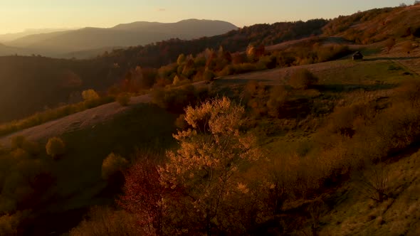 Aerial Reveal Shot of Mountain Valley Illuminated by Soft Sunlight in Autumn