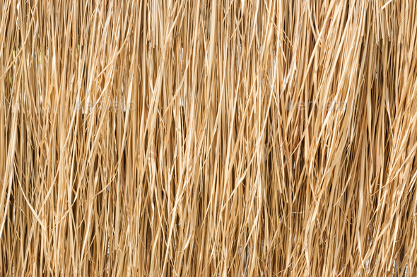 Close up yellow straw wall texture backgrond Stock Photo by Weedezign_photo