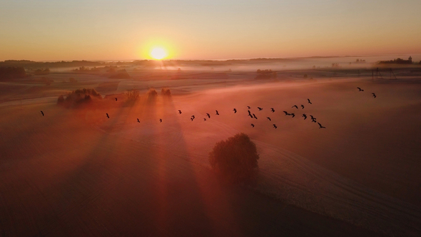 Amazing Sunrise Light Above Misty Landscape with Flying Birds