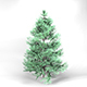 Blue Spruce Tree High Poly Native Nature 10