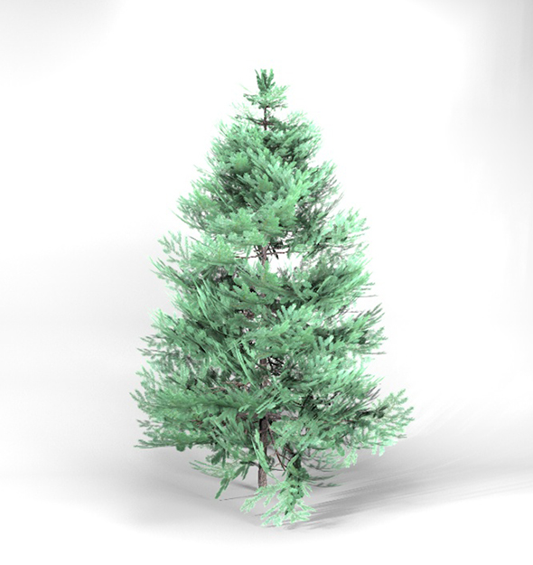 Blue Spruce Tree High Poly Native Nature 10